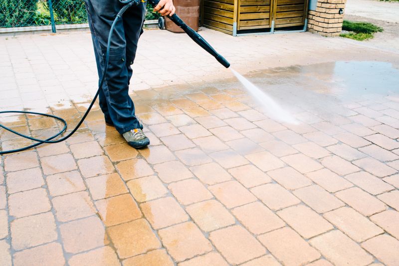 Paver Courtyard Cleaning
