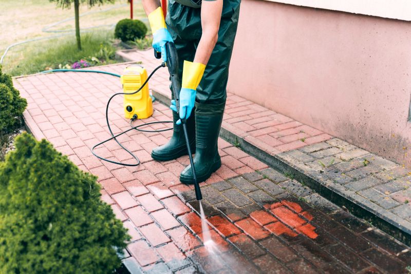 Paver Courtyard Cleaning