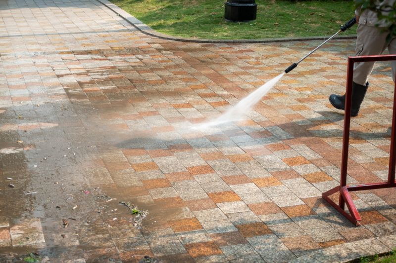 Paver Courtyard Cleaning